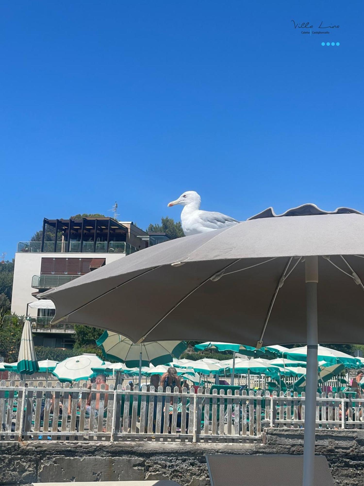 Villa Lina Castiglioncello Ngoại thất bức ảnh